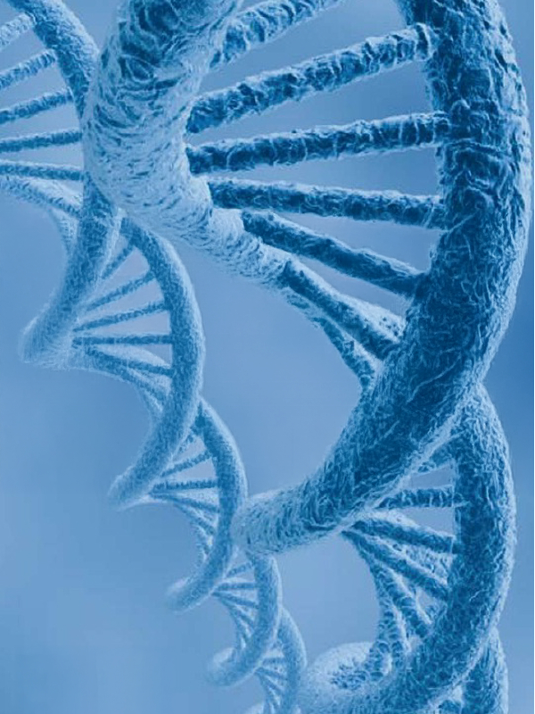 Research report: Advanced health biotechnologies in Thailand: State of the art, future trends and strategic preparation